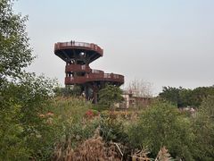 -芒洲湿地公园