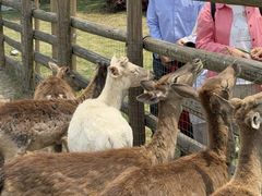 -苏州吴中太湖旅游区