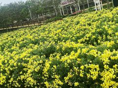 -盈香心动乐园