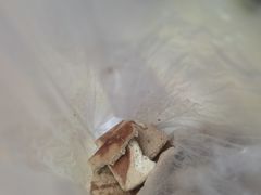 -土门八珍烤鸡腊味店(土门老店)