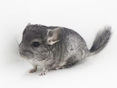 -龙猫仔乐园(惠福东路店)