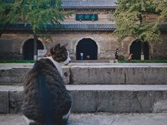 -灵谷景区