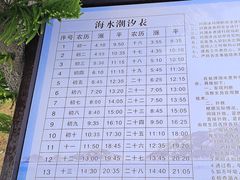 -大京沙滩