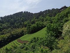 -敬亭山风景名胜区