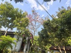 -晓雯人家