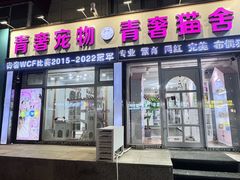 -青奢宠物·青奢猫舍