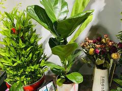 -何兮花店·气球派对鲜花店(马桥银春路万科城店)