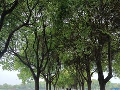 -上膳源有机农场