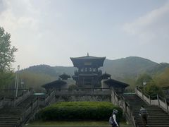 -大唐贡茶院