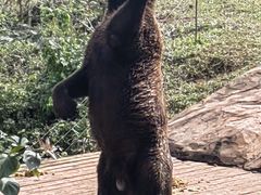 -海南热带野生动植物园