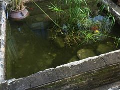 -浔岚云舍mist静谧观景美宿(丽江古城店)