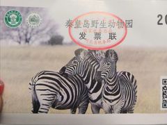 -秦皇岛野生动物园