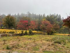 -塔川景区