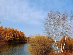 -塞罕坝国家级自然保护区