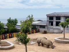 -西霞口神雕山野生动物世界