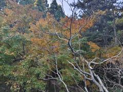 -庐山风景区花径公园