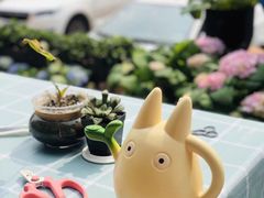 -花与咖啡馆(金星楼店)