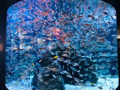 -成都浩海立方海洋公园