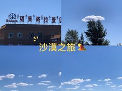 -银肯塔拉沙漠生态旅游景区