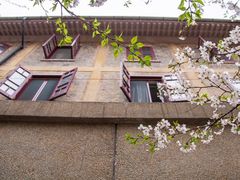 -武汉大学-樱园