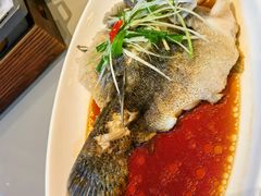 -红城阁·上海味道(四平路店)