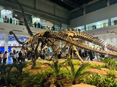 -自贡恐龙博物馆
