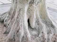 -济南大明湖景区
