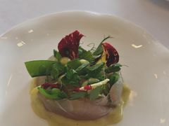 皇帝鱼刺身-Jean Georges