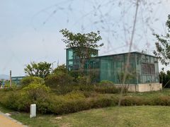 -青岛金沙滩