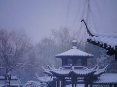 -扬州大运河文化旅游度假区·盆景园