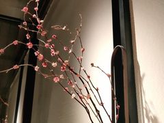 -小隐人家(乐松店)