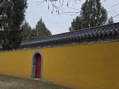 -高旻寺