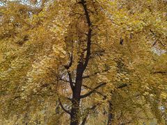 -辽宁大学(崇山校区)