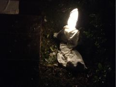 -天目湖涵田度假村