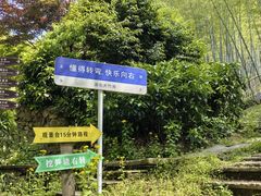 -宁波浙东大竹海景区