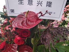 -避尘 Bsense·SPA(新会展总店)