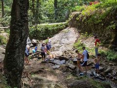 -素山寺森林公园