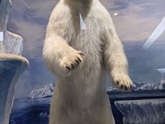 -国家自然博物馆