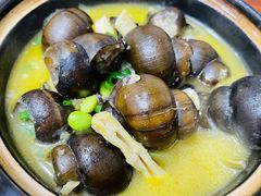 田螺煲-金泰老法菜(天民路店)