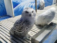 -成都浩海立方海洋公园