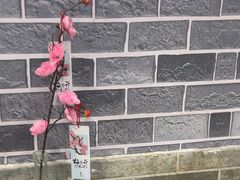 -天治宣·野椒鸡(龙头寺总店)