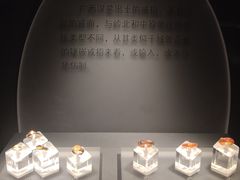 -广西壮族自治区博物馆