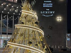 -南宁那莲豪华精选酒店-云霄酒廊·80楼高空城景酒吧
