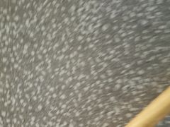 -肯德基(东四南大街店)