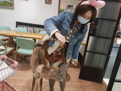 -猫色咖啡·猫咖