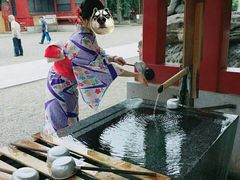 -东京浅草和服体验江户和装工房雅(浅草本店)