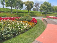 -春花秋色城市公园