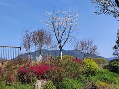-黄公望隐居地