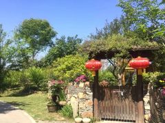 -鹅湖玫瑰文化园