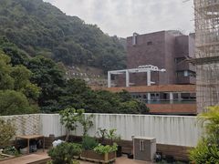 -香港大学